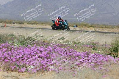 media/Feb-04-2023-SoCal Trackdays (Sat) [[8a776bf2c3]]/Turn 15 Inside Blooming (1050am)/